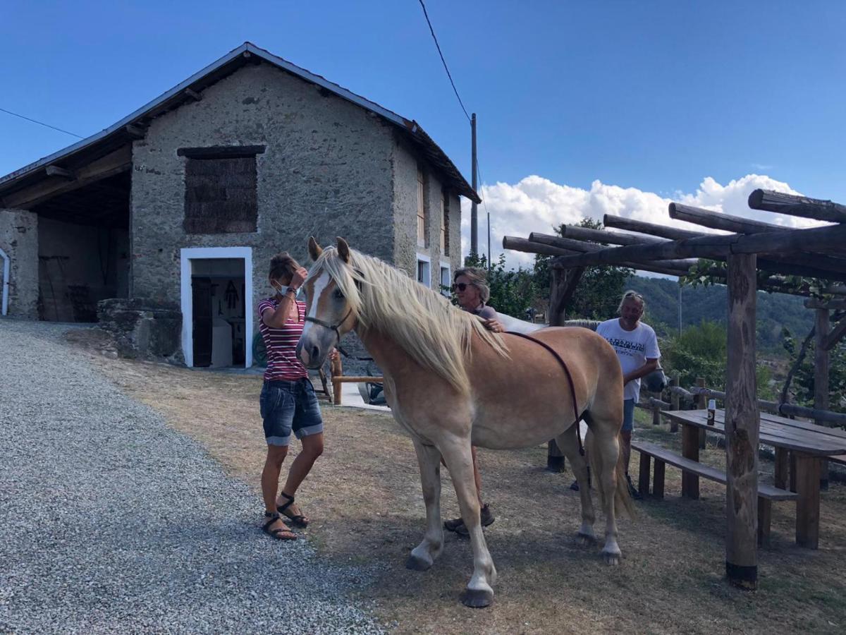Cascina Merlo Country House Pareto Esterno foto
